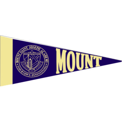 Pennant - Large Felt Pennant 12" x 30" Thumbnail