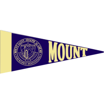 Pennant - Small Felt Pennant 5" x 12" Thumbnail